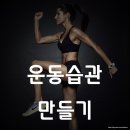 운동습관 - 안산시 단원구 초지동로 33 | 운동습관