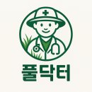 무성기업 | 《남양주시 화도읍 소나무 가지치기 전문업체 | 단독주택 2그루 전지 작업 후기》