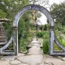 민들레울 이미지