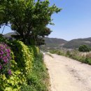 지리산다래랑민박 이미지