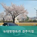 대명카서비스 이미지