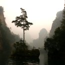 독불장군 이미지