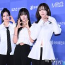 피어나 MHN스포츠