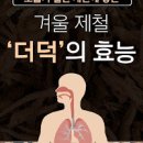 더덕 효능 더덕 껍질 이미지