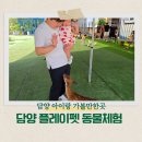플레이펫 | 담양 아이랑 가볼만한곳 플레이펫｜15개월 아기 동물체험 후기