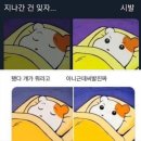 동이들아 잘자걸아 이미지