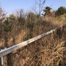 바닷가농원 이미지