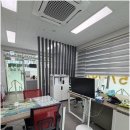 사계절공인중개사사무소 | 새솔동상가 임대부터 주거지 선택까지, 사계절공인중개사 사무소의 세심한 안내