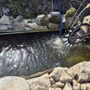 물레방아농장2 이미지