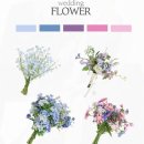 미소탑 김밥 | 웨딩 스튜디오 촬영 버드투블룸 조안식 작가님 후기 (소품, 야간 로드씬 가격)