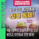 우회도로삼거리(우) | 탄천동로 지하화 공사로 4월 7일(화) 부터 봉은교 &amp; 탄천동로 통제 🚧 대체·우회도로 안내드립니다