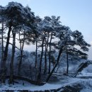 태백산맥 이미지