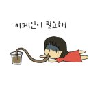 이른아침커피공장 이미지