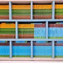 체스야 놀자 이미지