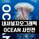 황학동주민센터 | [공지] OCEAN 가장 거대한 기록 내셔널지오그래픽 특별기획 사진전 정보 및 얼리버드 할인 안내