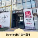 씰리침대 천안불당점 방문후기 / 천안침대 아산침대