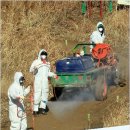 금왕농장 이미지