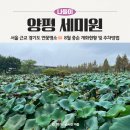 꽃등지 | 물과 꽃의 정원 양평 세미원, 주말방문 주차위치 서울 근교 가볼만한 곳
