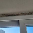 파리바게뜨 대전송강그린 | 대전 탄성코트 송강동 송강그린아파트 베란다 단열공사 페인트 시공후기