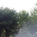 하계역 3번출구 이미지