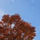 박철우한의원 이미지