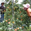 광덕농원 이미지