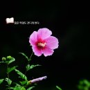 역사를 잊은 민족에게 미래는 없다 이미지