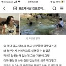 낭만실조 이미지