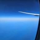 766 | 인천-삿포로 대한항공 KE765편 52A/B열 B777-300ER &amp; KE766편 36A 좌석 후기