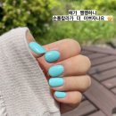 손이빛나리 이미지