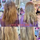 머릿결사랑 이미지