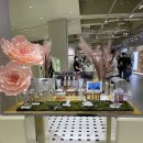 메이메디 이미지