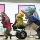 원숭이학교 자연사박물관 이미지