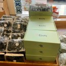 빵부자 | 공주 부자떡집 & 공주알밤빵 내돈내산 비교 후기