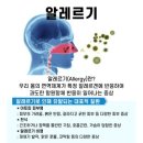 이수의과동물병원(출장진료전문) | 의약학 (醫藥學)Medicine and Pharmacy : 내과학 (內科學)Internal Medicine ⇒알레르기내과(Allergy...