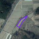 보성목장 이미지