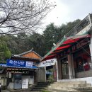 옥천식당 | 경남고성 노포맛집 고성맛집 옥천식당 점심식사 후기