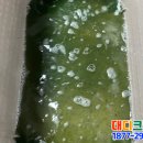 대정로 이미지