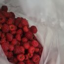 송악농장 이미지