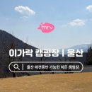 선일농장 | [울산 이가락 캠핑장] 히든 캠핑장ㅣ애견동반가능ㅣ명당 사이트 추천