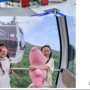 마산전집 이미지