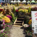 장성마을 이미지