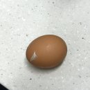 피자에땅 성대점 | 파란 나라를 보았니