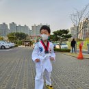 용인대 K-TOP 태권도장 이미지