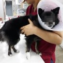 광교 우리들동물병원 이미지