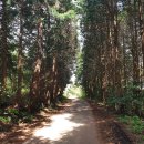 하늘농장 태양광발전소 이미지