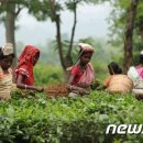 (주)몬텍 이미지