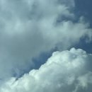 파스타델리지오 이미지