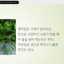 숭인마루 작은도서관 이미지