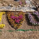 리띵로스터 이미지